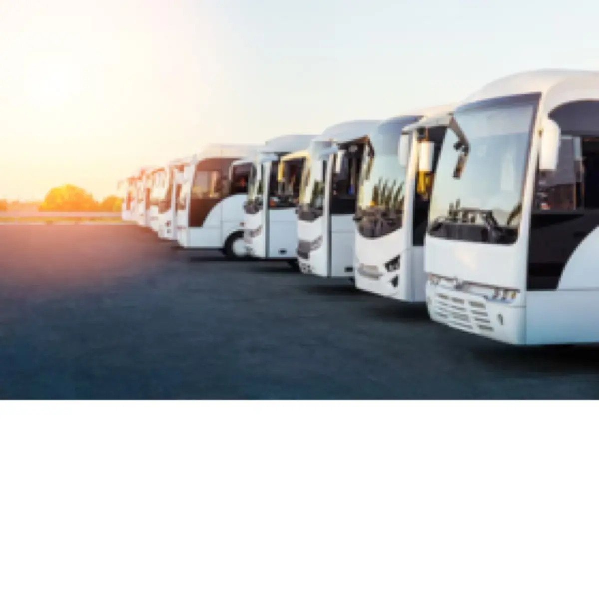 Buses